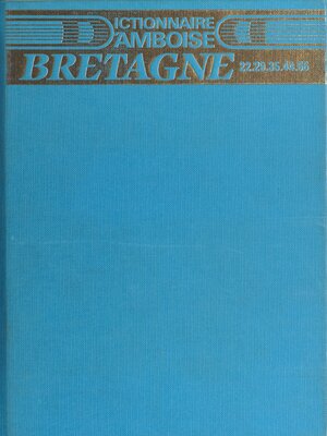 cover image of Dictionnaire d'Amboise
